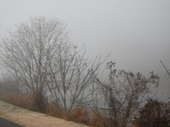 朝霧立ちこめる川原　DSCN6953
