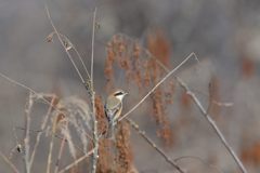 右見て　DSC_3576