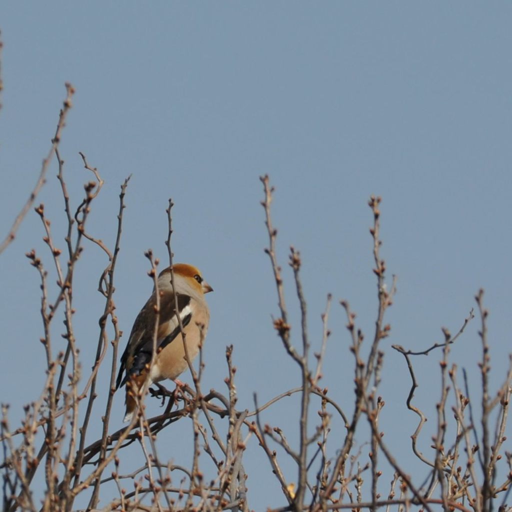 君もずっといるんだよね　　DSC_0501