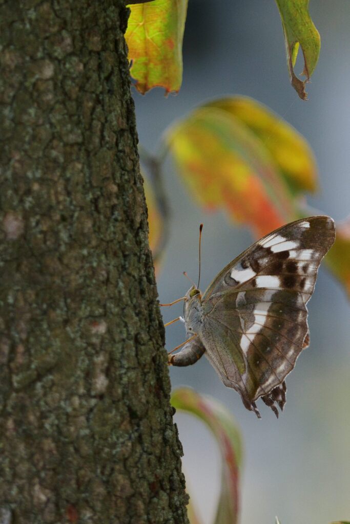 命を繋ぐ　　DSC_3040