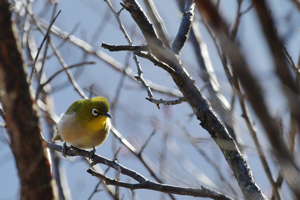 何かな・・・　DSC_5722