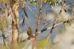 おーい！こっち向いて！　 DSC_0880