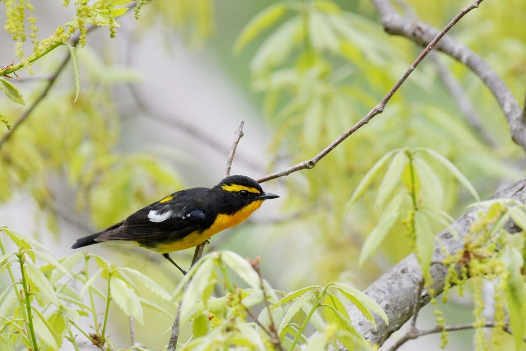 狙い定めて　DSC_0143