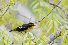 狙い定めて　DSC_0143