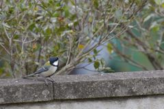 大丈夫そうだよ！　DSC_2249