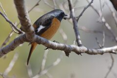 失敗？　　DSC_4885