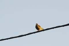 う～む・・・　　　DSC_8899