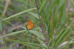 風を避けて　　DSC_8299