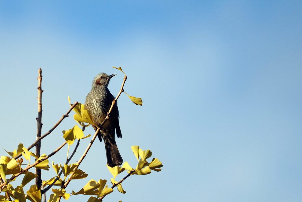 オイラもここがお気に入りなんだ　　DSC_8427