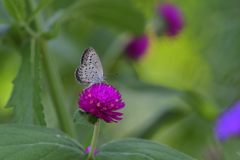 ここがお気に入り　DSC_5589