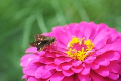 大きなテーブル　DSC_3944