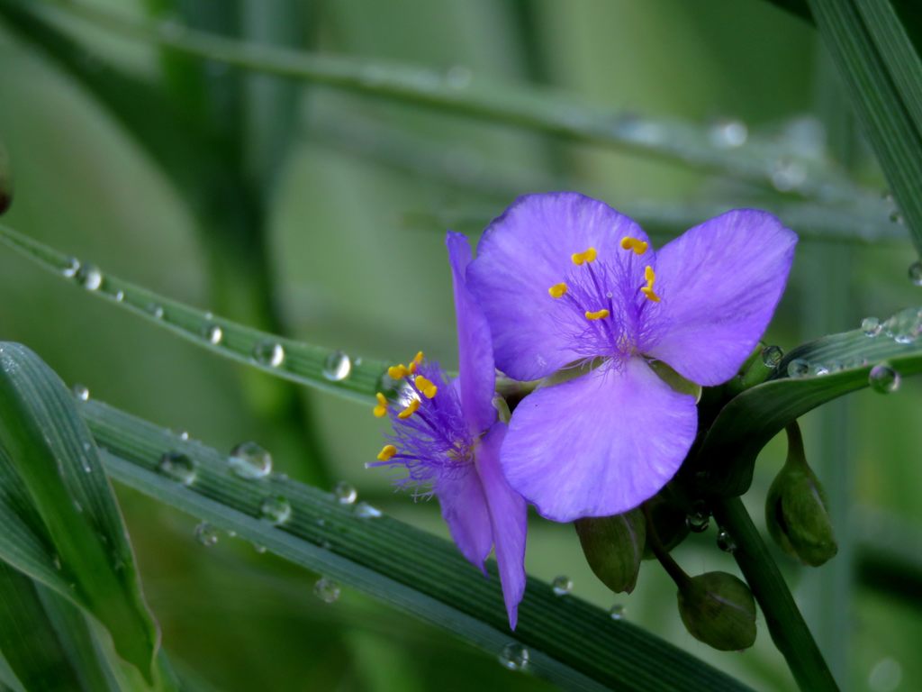 朝の色　IMG_1039