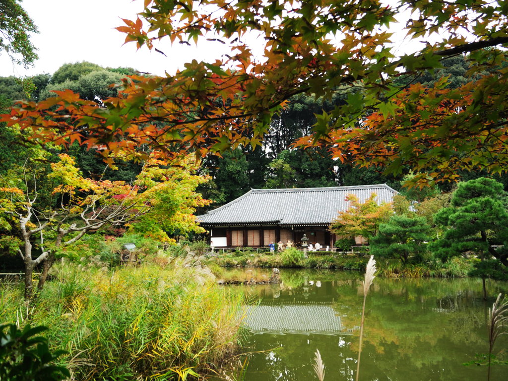 浄瑠璃寺本堂をのぞむ