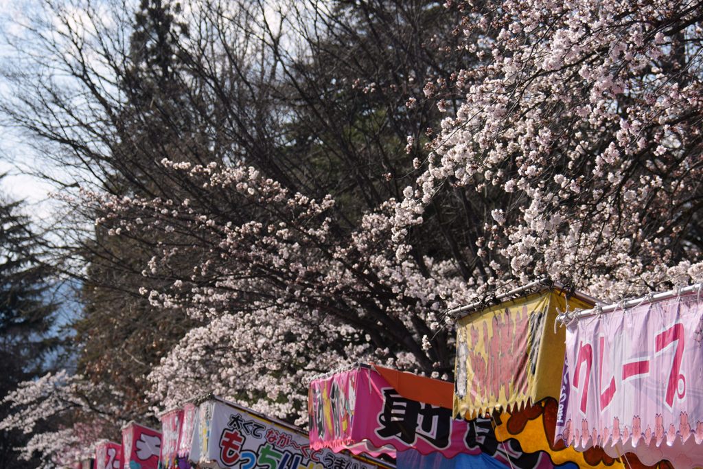 上田　春の陣　　DSC_1172