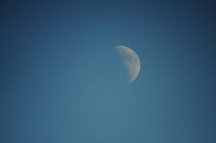 午後の月　DSC_8407