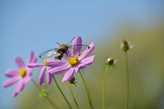 誰にもあ～げない！　DSC_7682