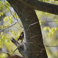 ねえ、こっち向いて！　DSC_2534