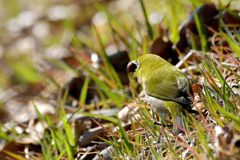 カパッ！　DSC_7389