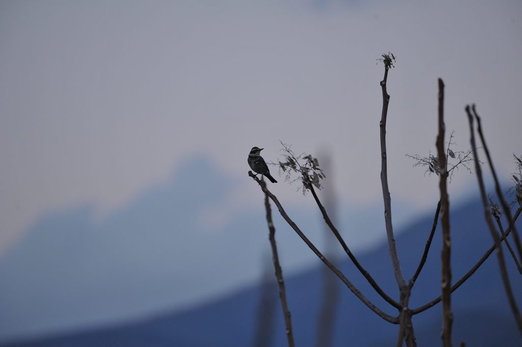 孤独　DSC_1584