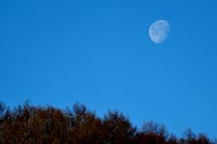 西の空に　DSC_6973