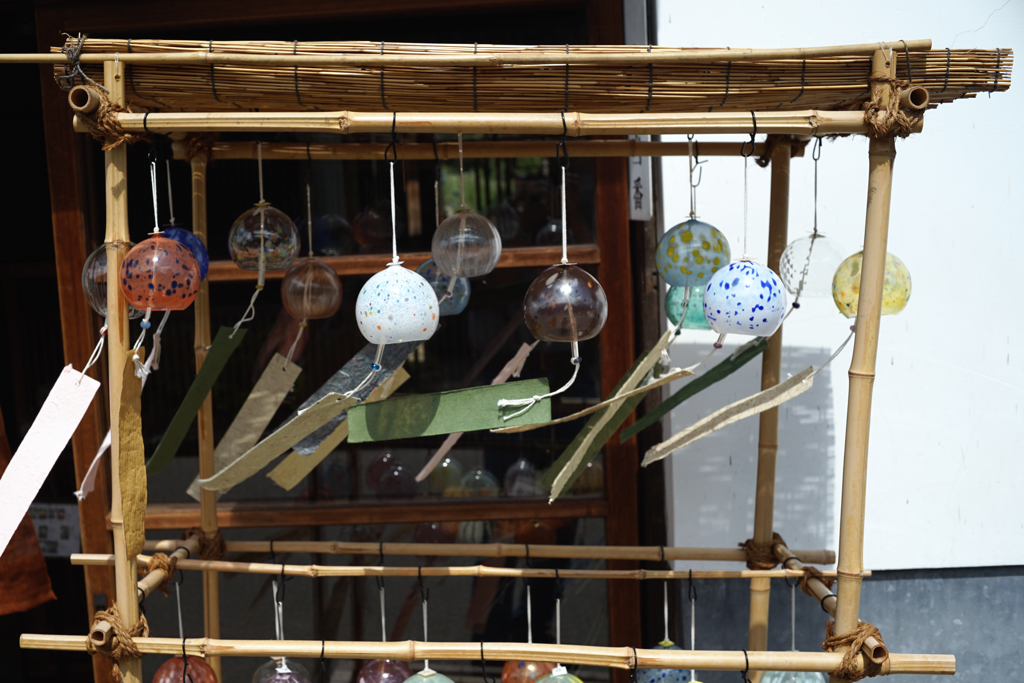 一陣の風に舞う　DSC02504