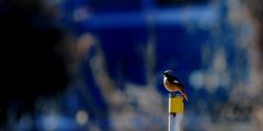 蒼のとき　　DSC_6781