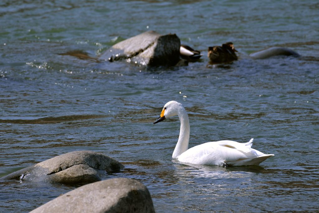 孤独　DSC_7571