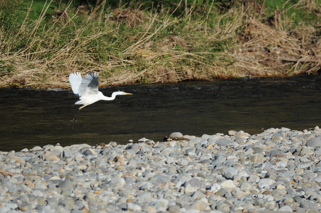 ヨイショっと！　　DSC_7964