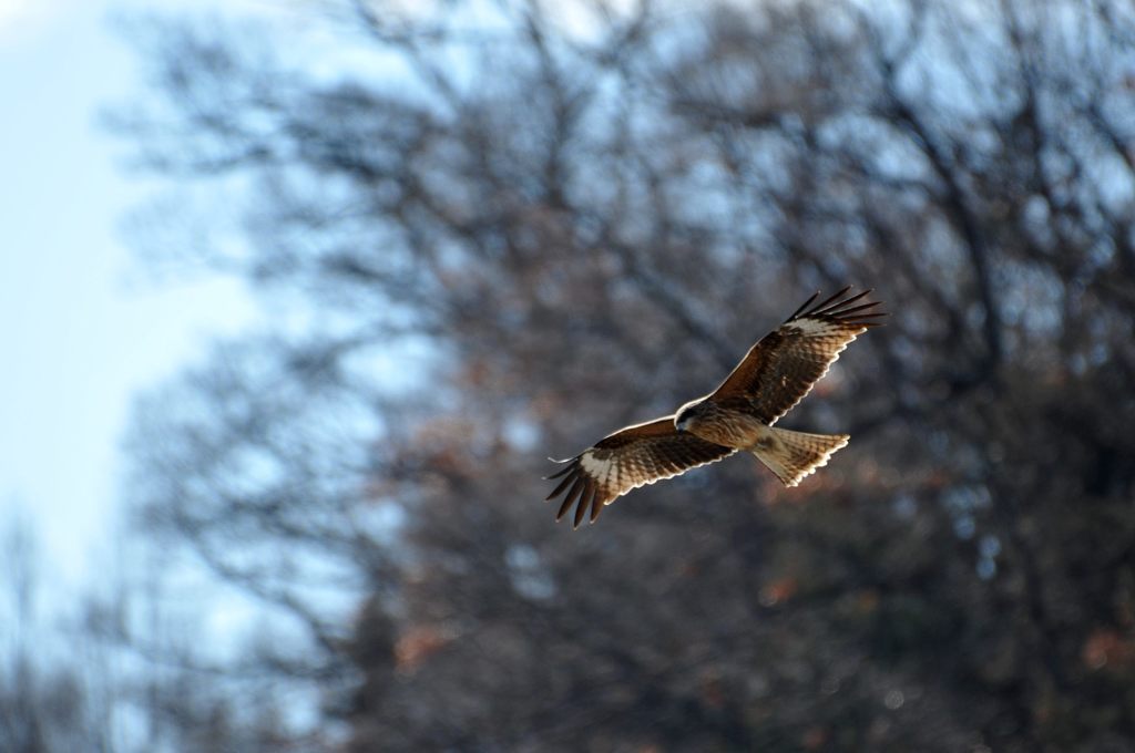 開けた世界へ　　DSC_8029