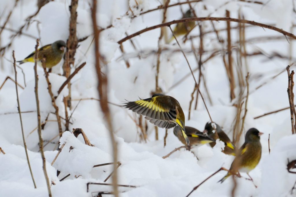 きれいでしょ？　　 DSC_2920