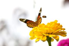 一緒にどうぞ　DSC_0969