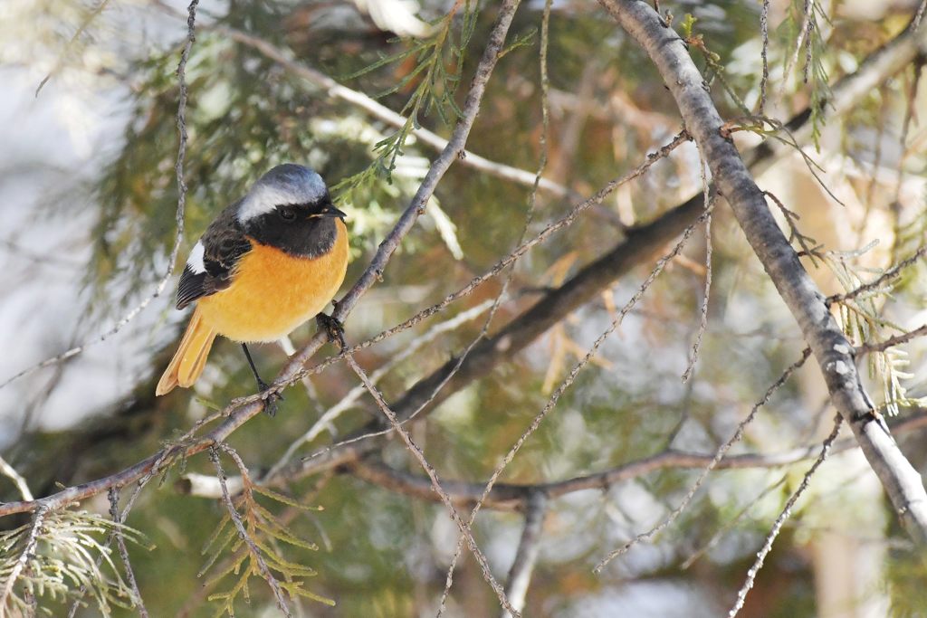 一休み　DSC_5984