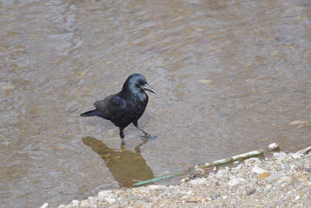 冷た～ッ！　DSC_6462