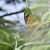見～つけた！　　　DSC_3072