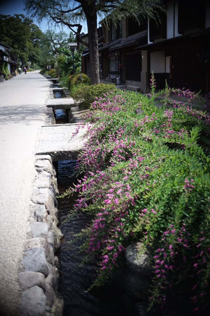 命の水路　DSC02526