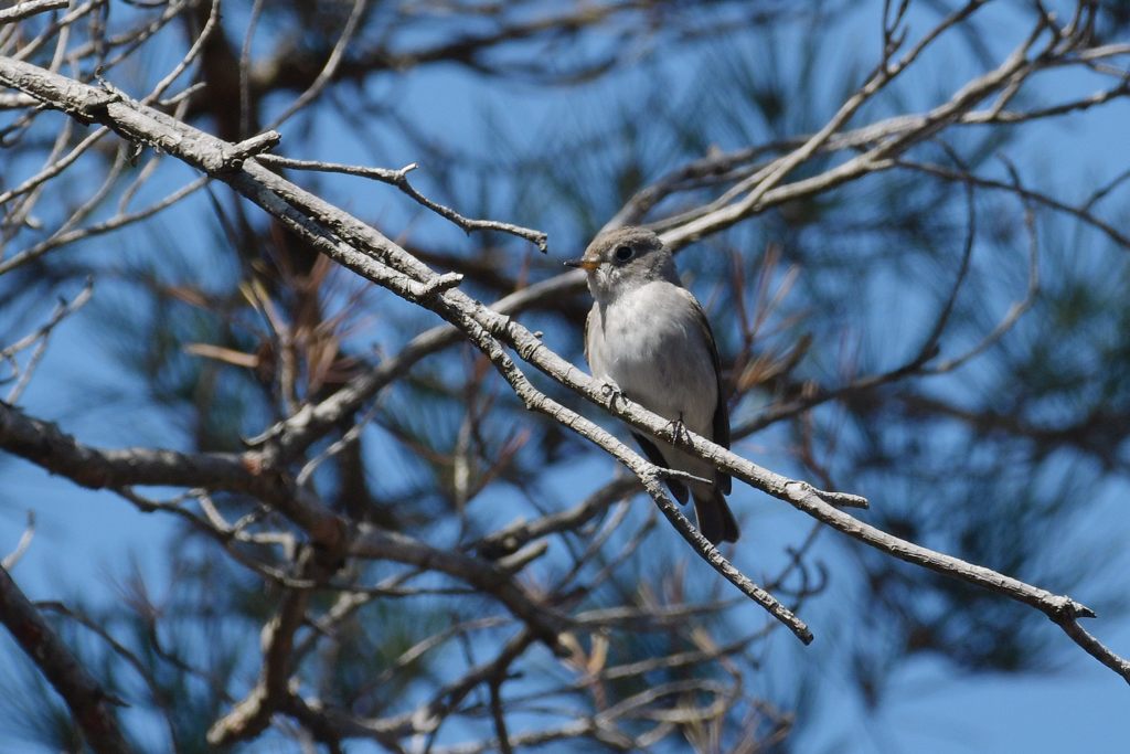 お名前は？　２　DSC_9398