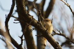また会えたね　DSC_2712