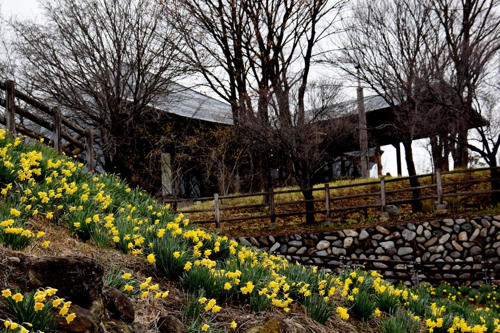 ホールこだま入り口下にて　　DSC_0758