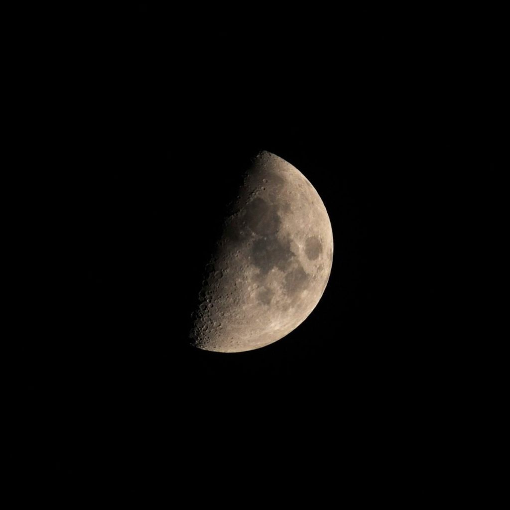 ♪上弦の月だったっけ～　　DSC_1309