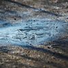 氷る　DSC_1101