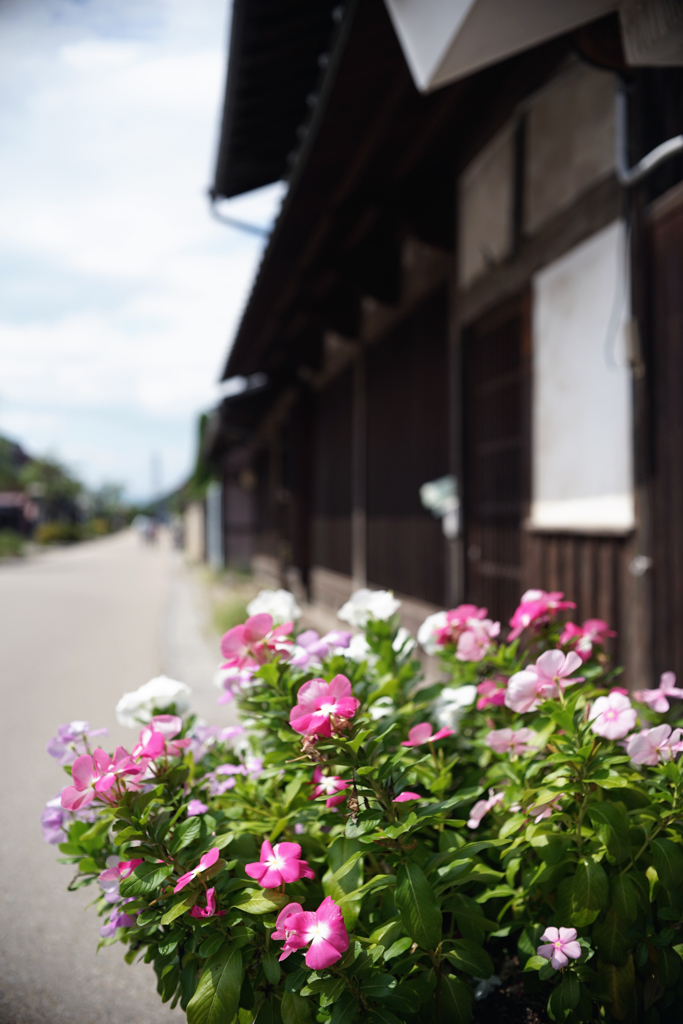 おもてなし　DSC02510