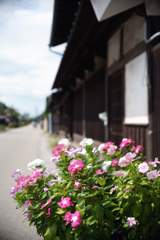 おもてなし　DSC02510