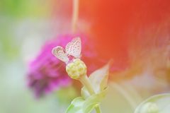 命の賛歌　DSC_3586