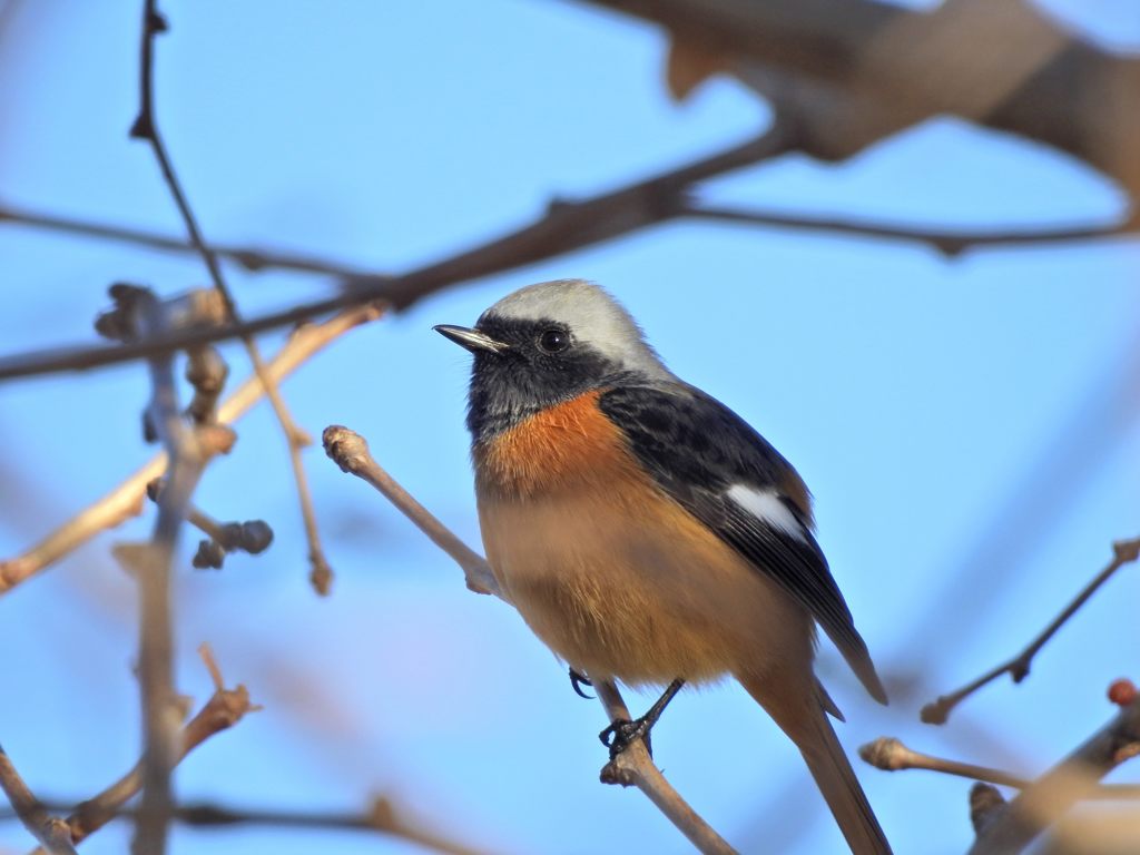 ちょっとすまして　DSCN1117