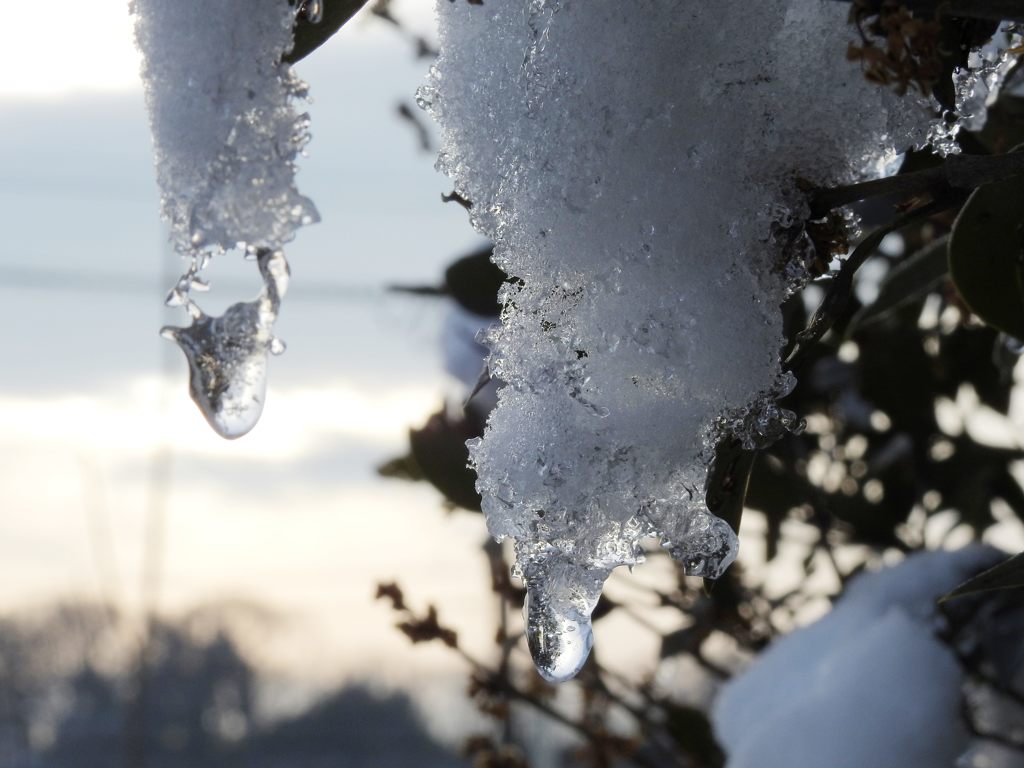 溶けてまた氷る　DSCN2903