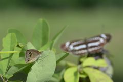 私も撮ってね！　DSC_5695