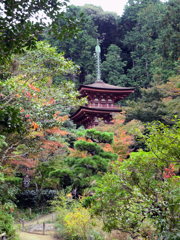 浄瑠璃寺三重塔