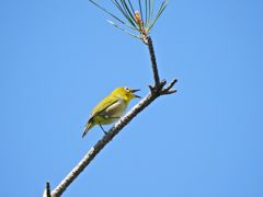 好い天気だよ～！　DSCN5398