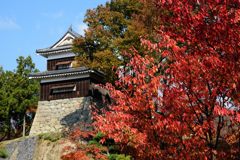 紅葉と南櫓　DSC_4086