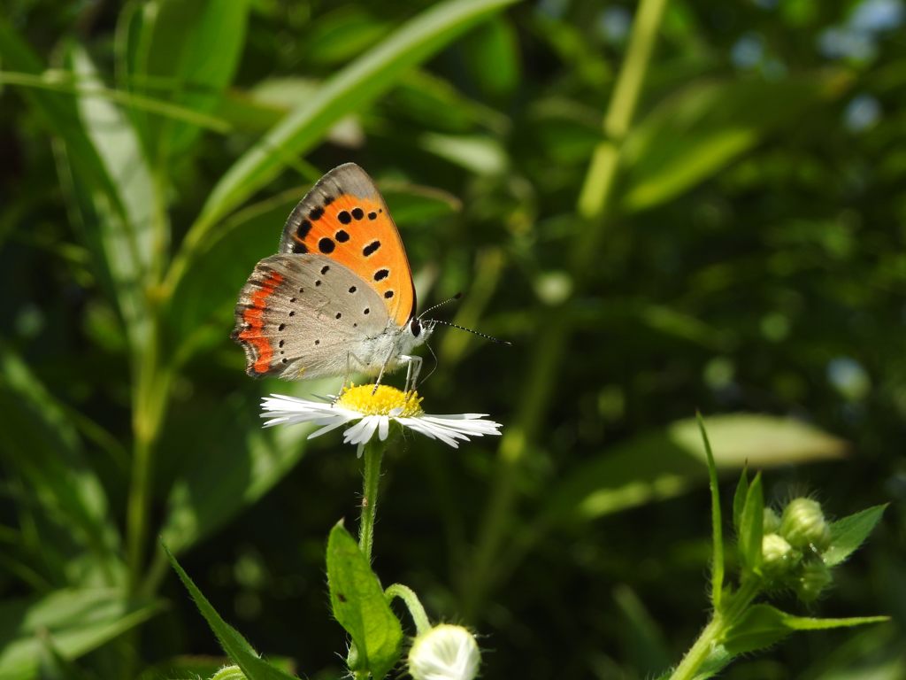 ここもいいな～　DSCN5825